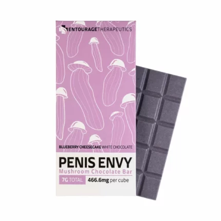 Penis Envy Blueberry Cheesecake Bar